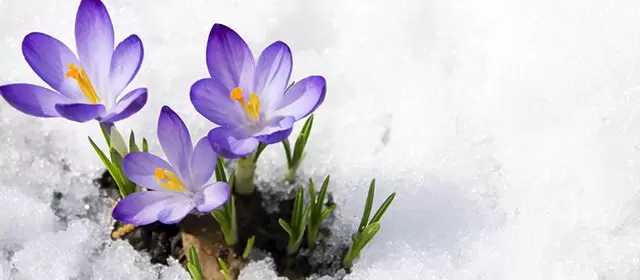 Horoscope for Wednesday 7 January 2026