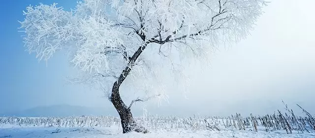 Horoscope for Friday 9 January 2026