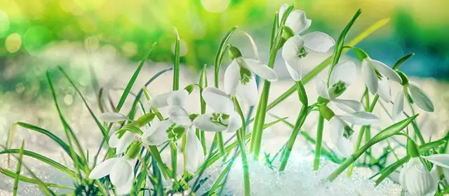 Horoscope for Monday 12 January 2026