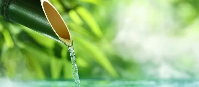 Horoscope for Saturday 14 March 2026