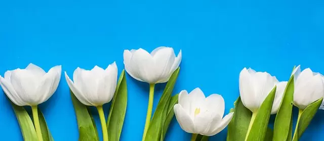 Horoscope for Wednesday 18 March 2026