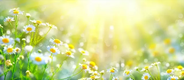 Horoscope for Thursday 19 March 2026