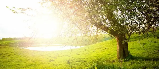 Horoscope for Tuesday 21 April 2026