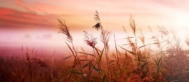 Horoscope for Tuesday 5 May 2026