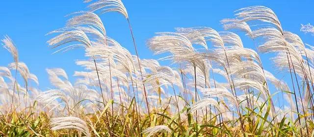 Horoscope for Sunday, September 27, 2026