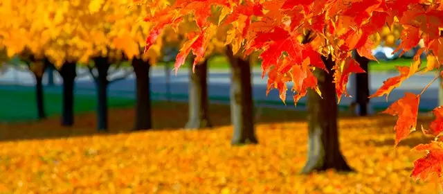 Horoscope for Friday, October 2, 2026