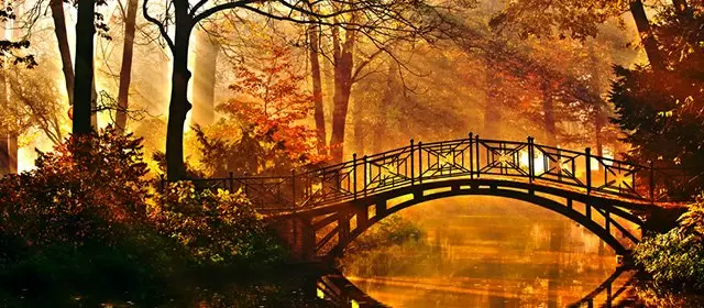 Horoscope for Monday, October 12, 2026