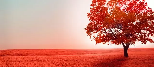 Horoscope for Saturday, October 17, 2026