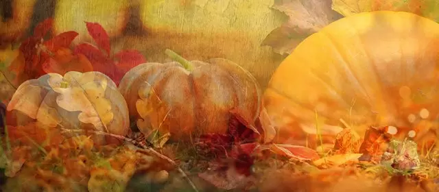 Horoscope for Saturday, October 31, 2026