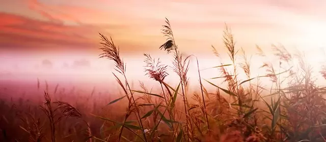 Horoscope for Tuesday 4 November 2025