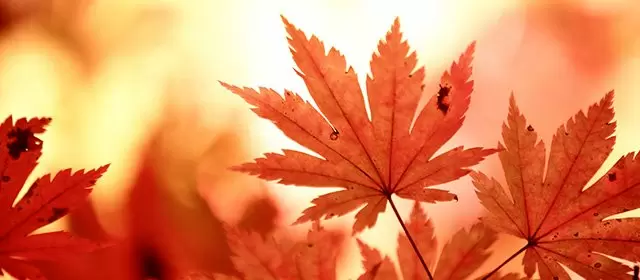 Horoscope for Saturday 8 November 2025