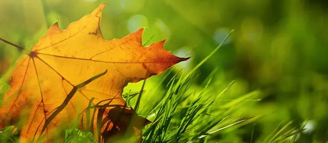 Horoscope for Tuesday 11 November 2025