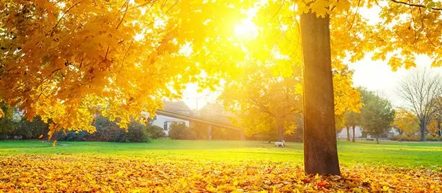 Horoscope for Wednesday 12 November 2025