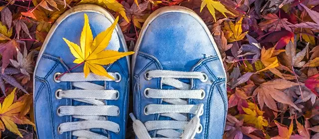 Horoscope for Friday 21 November 2025