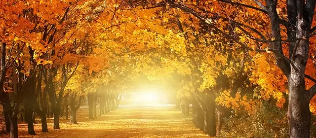 Horoscope for Monday 24 November 2025