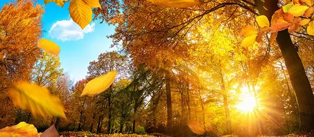 Horoscope for Wednesday 26 November 2025