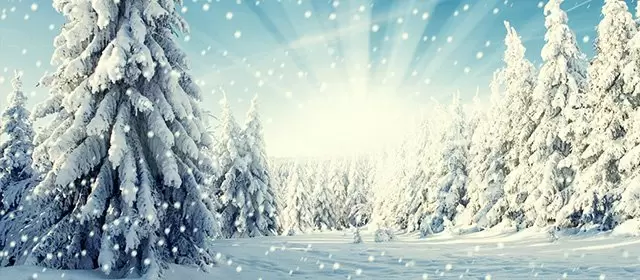 Horoscope for Saturday 6 December 2025