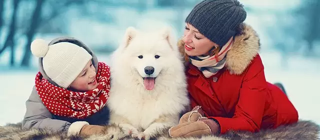 Horoscope for Sunday 14 December 2025