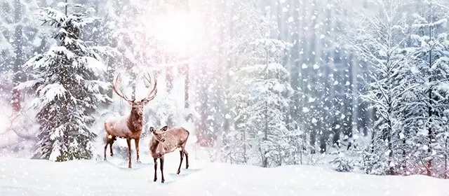 Horoscope for Wednesday 17 December 2025