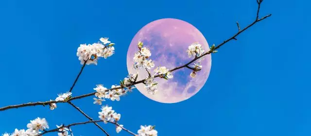 Calendar of the Full Moon in 2025