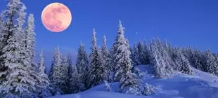 Wolf Full Moon of January 13