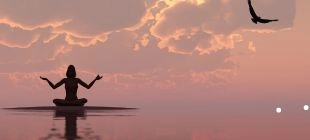 Discover the New Moon 2026