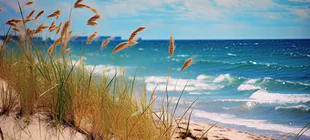 June 2026: key shifts